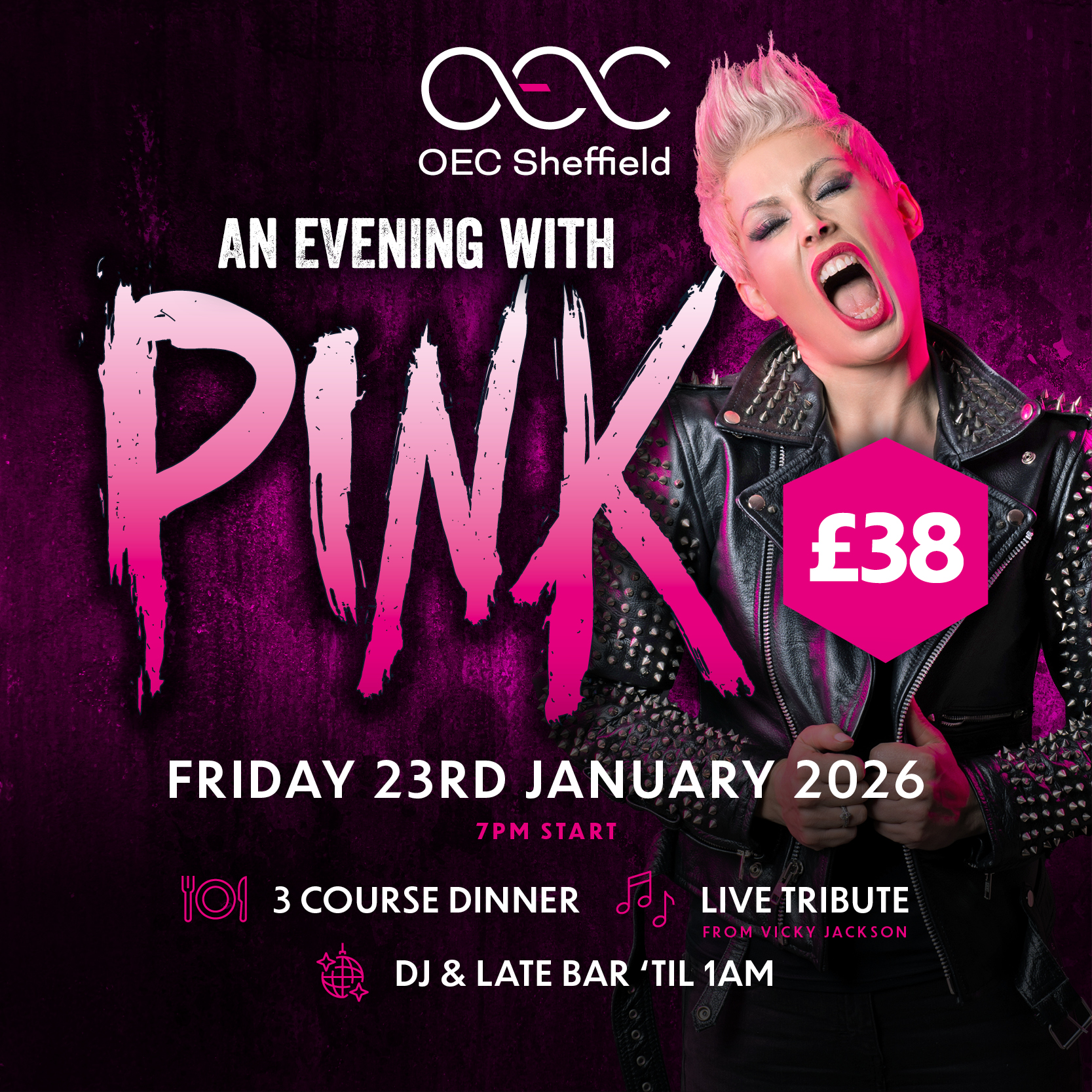 An Evening with Pink | OEC Sheffield