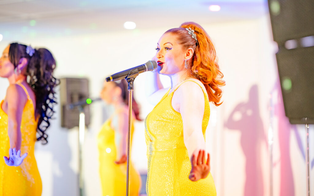 Motown Tribute Show - OEC Sheffield